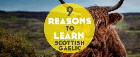 9 Reasons to Learn Scottish Gaelic - Lindsay Does Languages