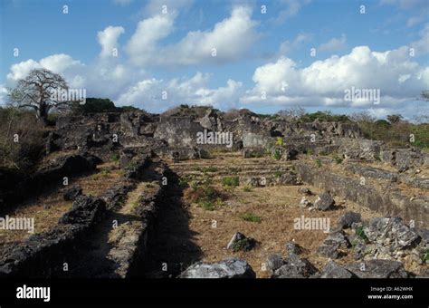 Kilwa Ruins Husuni Kubwa 14th century Sultan's palace Kilwa Kisiwani Tanzania Stock Photo - Alamy