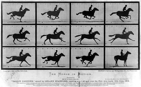 Before Walt Disney: 5 Pioneers of Early Animation - The Atlantic