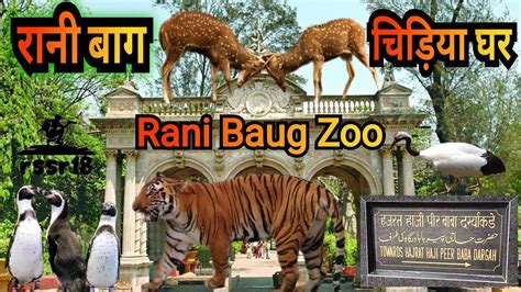 Rani bagh Mumbai 2023।Complete Tour of Rani Bagh। Mumbai Byculla Zoo।Hazrat Haji peer baba ...