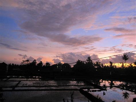 SAWAH SUNRISE BED & BREAKFAST - B&B Reviews (Ubud, Bali)