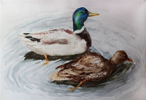 Original watercolor painting Mallard Duck Pair Original