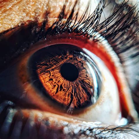 This close up photograph of human eye. : interestingasfuck