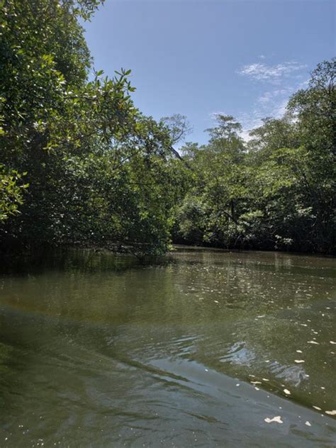 Tamarindo Wildlife Refuge - تاماريندو: Working hours, Activities ...