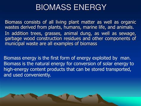 🐈 Biomass energy examples. The Main Types of Biomass Energy. 2022-10-08