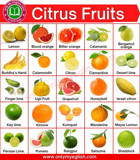 Citrus Fruits: List of 30+ Citrus Fruits are rich in Vitamin C ...