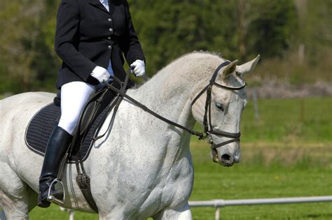 Rookie Rundown: What to Wear to an English Horse Show