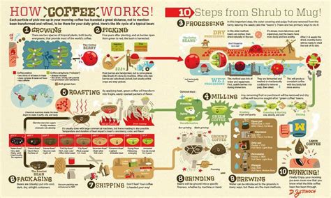 How Coffee works | Infografia, Cafeteria, Café