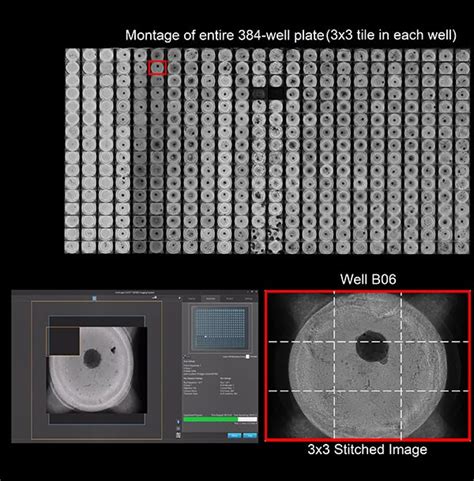 EVOS M7000 Imaging System | Thermo Fisher Scientific - US