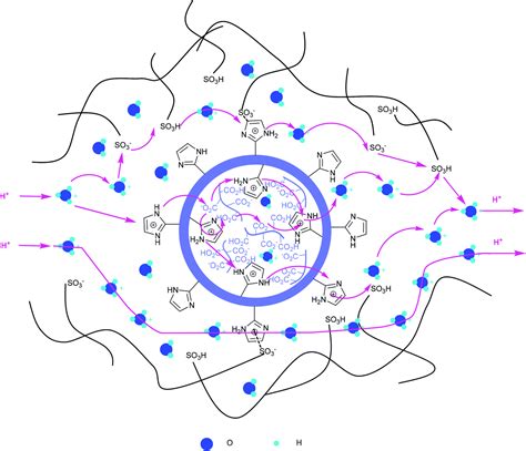 Enhanced proton conductivity of proton exchange membrane at low humidity based on poly ...