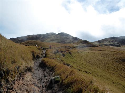 Hiking to the Summit of Mt Pulag - The Philippines - Safe and Healthy ...