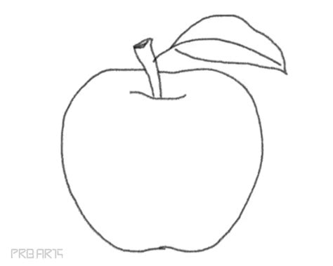 Apple Drawing - How to Draw an Apple - PRB ARTS