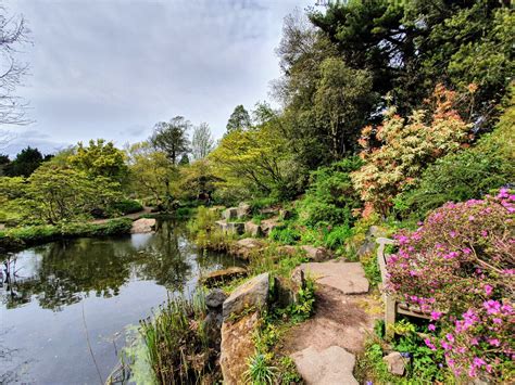 The Birmingham Botanical Gardens UK A Nice Place For Photos