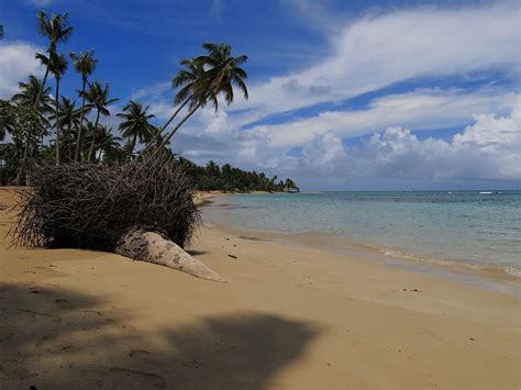 Samana Dominican Republic Beaches Photograph by Andrei Filippov