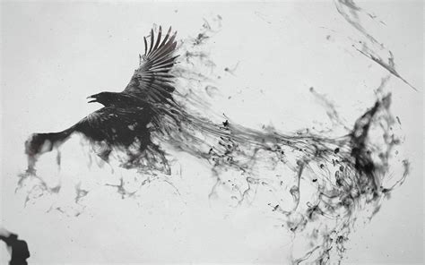 🔥 [48+] Raven Desktop Wallpapers | WallpaperSafari