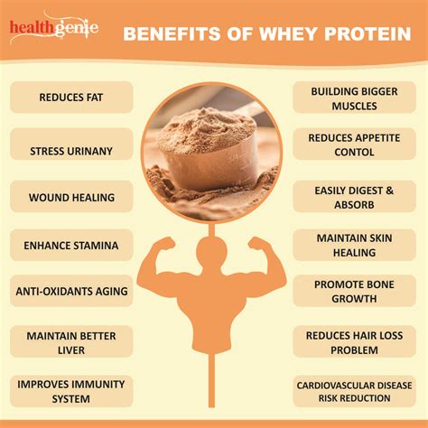 Benefits Of Whey Protein Powder