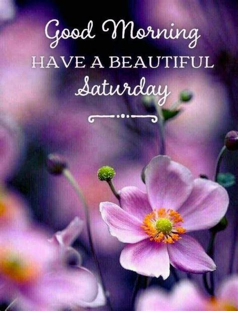 Beautiful Saturday Morning Image good morning saturday good morning ...