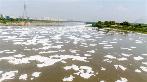 🌱 Images of yamuna river pollution. Shocking Photos Show Terrible ...