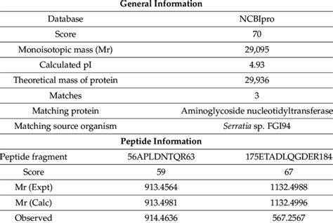 Protein identification: MALDI-TOF/TOF mass spectrometry analysis data ...