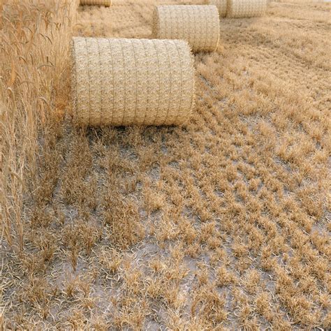 Grass Round Hay Bale Farm Ground - 3D Model for VRay, Corona