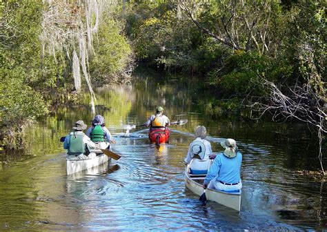 7 incredible sights to see at Big Cypress National Preserve