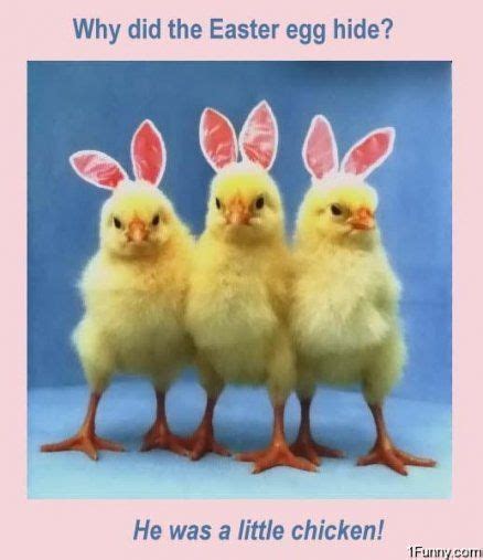 Funny Pictures, Gifs, Videos and Memes | Easter cartoons, Funny easter pictures, Happy easter funny