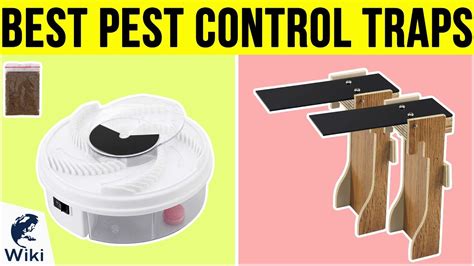 10 Best Pest Control Traps 2019 - YouTube