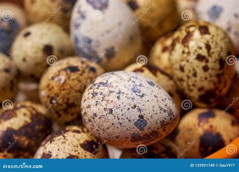 Quail Eggs on Brown Wooden Background. Selective Focus Stock Photo - Image of healthy ...