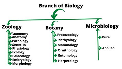 100 Branches Of Biology From A To Z