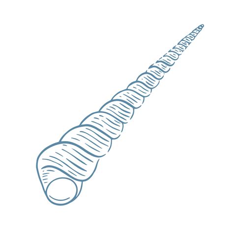 Elongated spiral shell sketch isolated vector illustration 7226345 Vector Art at Vecteezy