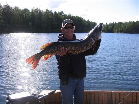 fishing lake nipissing french river northern pike jack lazar - Sandy ...