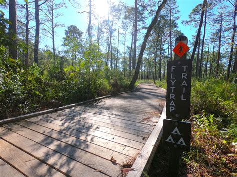 Camping at Carolina Beach State Park, North Carolina / North Carolina | Campfiredelight.com in ...