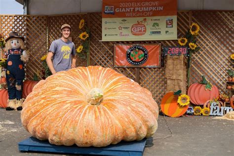 A ton of giant pumpkin takes home prize