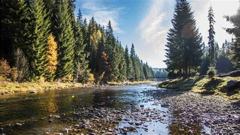 New self-guided walking itineraries in Apuseni Mountains, Romania | The ...