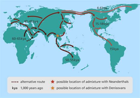 Early Human Migration Map Worksheet