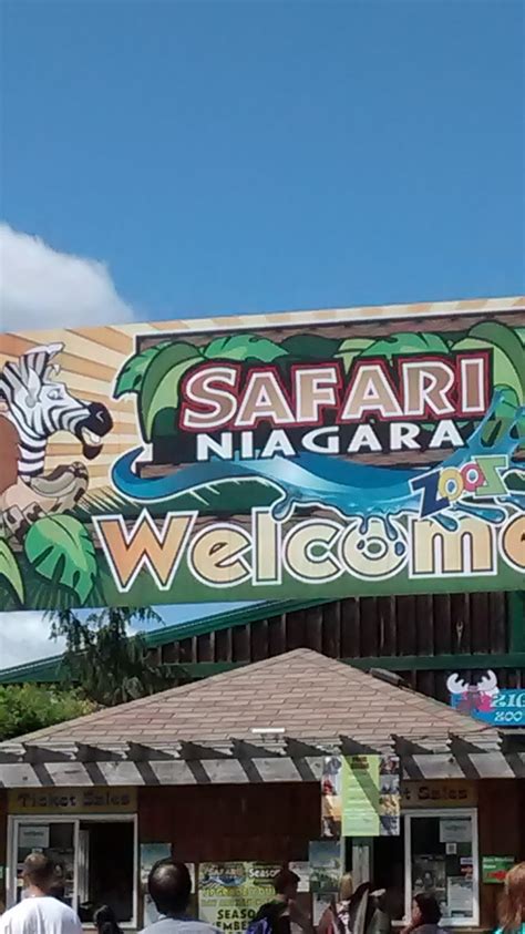 Andrew, Jonathan & Alexander: Safari Niagara