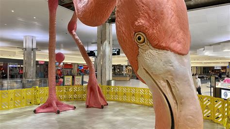 Tampa International Airport to soon announce name of giant flamingo ...