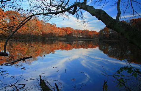 Crystal Lake Park | Burlington County, NJ - Official Website