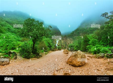 Khareef season in Salalah, Oman Stock Photo - Alamy