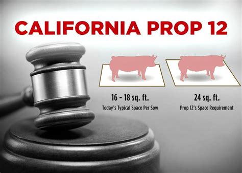 BREAKING: Supreme Court Backs California Prop 12 | Pork Business