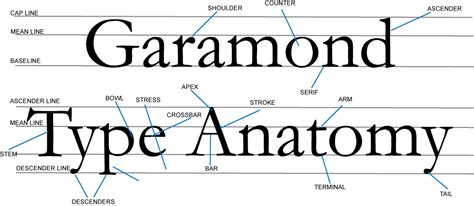 Typo.graphy: Garamond Type Anatomy