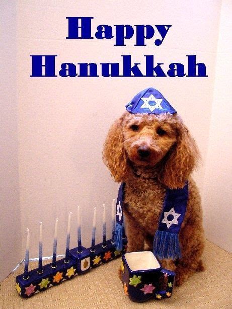 Cute Happy Hanukkah Quote For Friends hanukkah happy hanukkah happy chanukah hanukkah quotes ...
