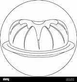Peanut Butter And Jelly Coloring Page sketch template