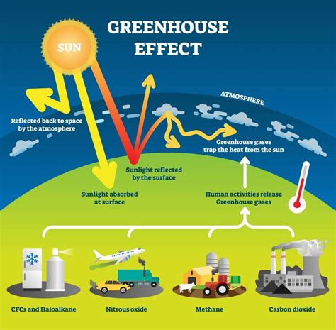 Global Warming and Climate Change | GCSE Biology Revision