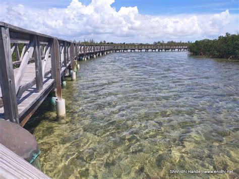 Bonefish Pond National Park Nassau-Crystal clear mangrove park - eNidhi India Travel Blog