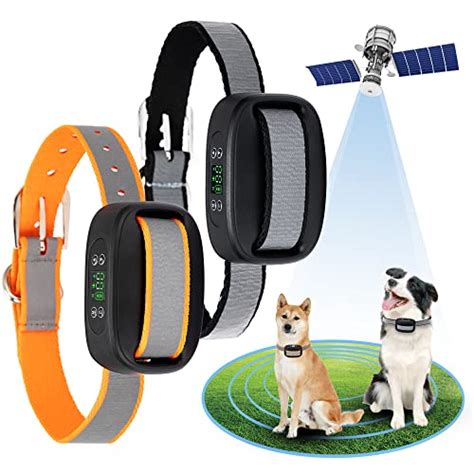 Best Wireless Dog Fences: GPS, Radio & Electric