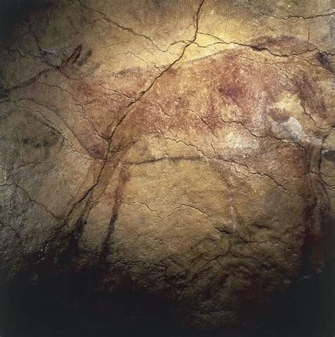 Upper Paleolithic cave paintings Our beautiful Wall Art and Photo Gifts ...