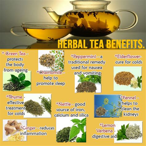 Printable Herbal Tea Benefits Chart