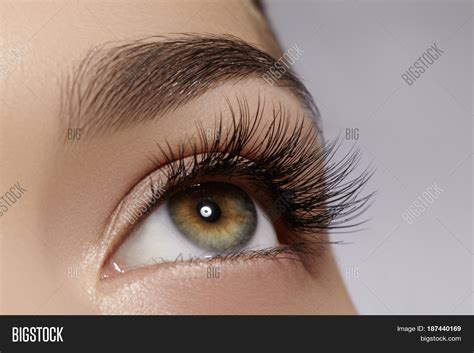 Beautiful Macro Shot Image & Photo (Free Trial) | Bigstock