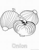 Onion Coloring Pages sketch template